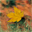 Autumn Scenery Wallpaper software