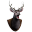 Dead Deer software