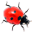 Ladybug on Desktop software