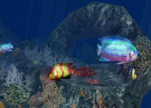 software - 3D Aquatic Life Screensaver: Fish! 1.1.0 screenshot
