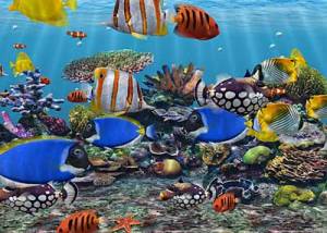 software - 3D Fish School Screensaver 4.994 screenshot