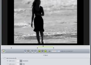 software - 4Media Video Splitter 2.0.1.0111 screenshot