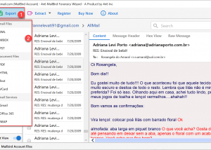 4n6 Mailbird Forensics Tool screenshot