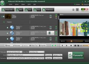 4Videosoft Convertisseur DVD BlackBerry screenshot