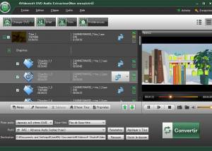 4Videosoft DVD Audio Extracteur screenshot