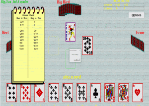 software - 500 Card Game From Special K Software 6.24 screenshot