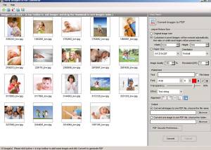 5DFly Images to PDF Converter screenshot
