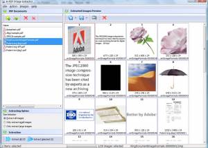 A-PDF Image Extractor screenshot