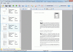 software - A-PDF Page Master 3.9 screenshot