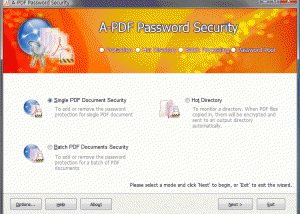 software - A-PDF Password Security 3.8 screenshot