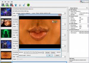 ABC 3GP/MP4 Converter screenshot