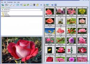 software - Able Image Browser 2.0.14.14 screenshot