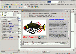 Absolute Database screenshot