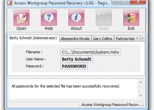software - Access Workgroup Password Recovery 1.0L screenshot