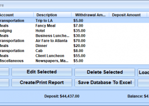 software - Accounting Ledger Software 7.0 screenshot