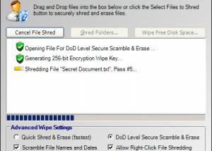 Ace File Shredder screenshot