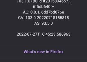 software - AdGuard for Firefox 4.3.64 / 5.0.2 Beta screenshot