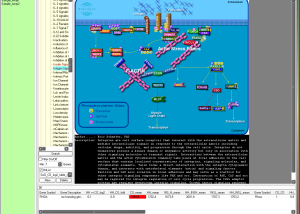 software - Advanced Pathway Painter 2.31 screenshot