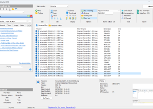 software - Advanced Renamer 3.94 screenshot