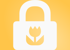 software - Aerize Lockpix for Windows Phone 8 1.0.0.0 screenshot