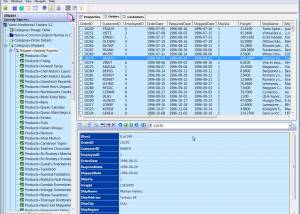 software - Aglowsoft SQL Query Tools 10.0 screenshot