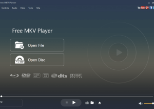 software - Aiseesoft Free MKV Player 6.6.18 screenshot
