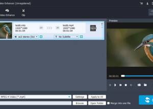 Aiseesoft Video Enhancer screenshot