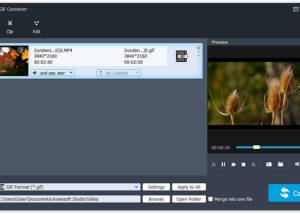 software - Aiseesoft Video to GIF Converter 1.1.12 screenshot