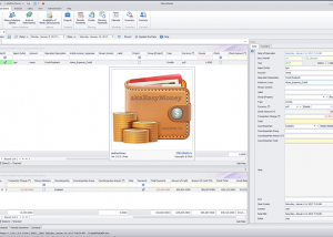 software - akaEasyMoney 1.0.9.3 screenshot