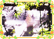 Anand Krishna Meditating at waterfall screenshot