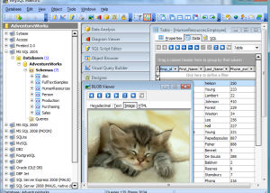 software - AnySQL Maestro 16.12 screenshot