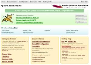 Full Apache Tomcat screenshot