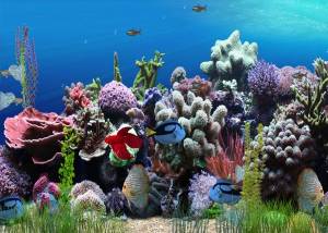 Aquarium Animated Wallpaper screenshot