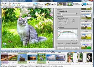 software - Artensoft Photo Editor 1.6 screenshot