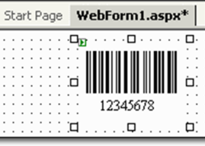 ASP.NET GS1 DataBar Web Server Control screenshot