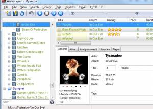 software - AudioExpert 14.1.0.1495 screenshot