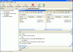 software - Auto FTP Free 3.59 screenshot