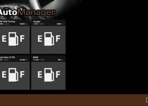 AutoManager for Windows Phone screenshot