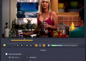 software - AVCWare Video Splitter 2.0.1.0111 screenshot
