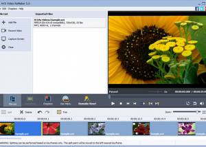 AVS Video ReMaker screenshot