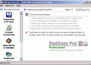 software - BadCopy Pro 3.80 screenshot