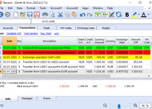 software - Banana Accounting for Windows 9 screenshot