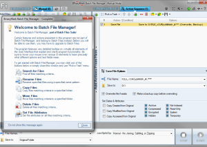 software - Batch File Manager Free 5.0.111 screenshot