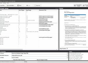 software - Batch TIFF & PDF Resizer 4.31 screenshot