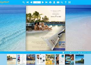 software - Beach theme for PageFlip Book Designing 1.0 screenshot