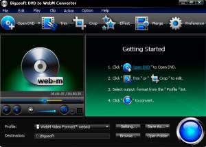 Bigasoft DVD to WebM Converter screenshot