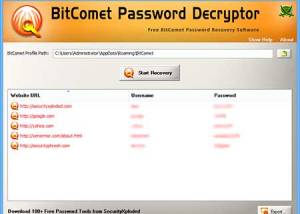 BitComet Password Decryptor screenshot