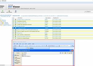 software - BKF Viewer Pro 3.0 screenshot
