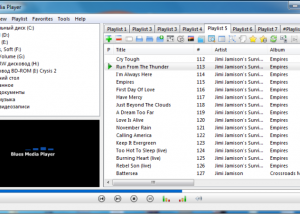 software - Blues Media Player 24.08.2013 screenshot