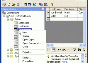 software - blueshell Data Guy 2.03.0004 screenshot